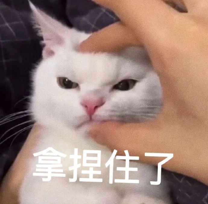 DƬ